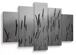 Obraz - Steblá trávy (150x105 cm)