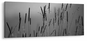 Obraz - Steblá trávy (120x50 cm)