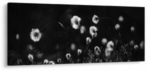 Obraz - Lúka s cottongrass N⁰1 (120x50 cm)