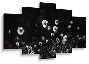 Obraz - Lúka s cottongrass N⁰1 (150x105 cm)