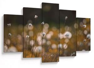 Obraz - Lúka s cottongrass N⁰2 (150x105 cm)