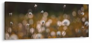 Obraz - Lúka s cottongrass N⁰2 (120x50 cm)