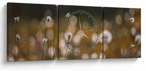 Obraz - Lúka s cottongrass N⁰2 (s hodinami) (90x30 cm)