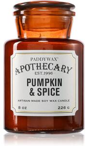Paddywax Apothecary Pumpkin Spice vonná sviečka 226 g