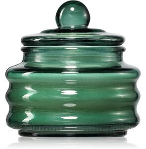Paddywax Beam Cypress & Fir vonná sviečka 85 g