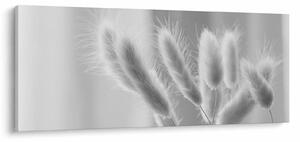 Obraz - Bunny tail grass (120x50 cm)
