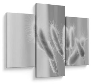 Obraz - Bunny tail grass (90x60 cm)