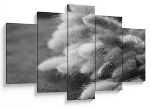 Obraz - bunny tail grass na stole (150x105 cm)