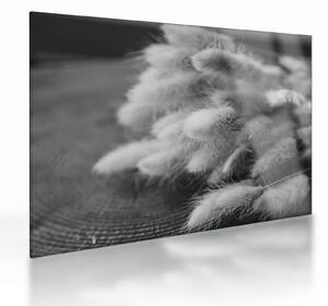 Sklenený obraz - bunny tail grass na stole (70x50 cm)