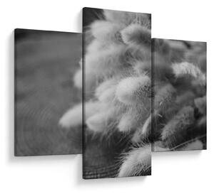 Obraz - bunny tail grass na stole (90x60 cm)