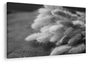 Obraz - bunny tail grass na stole (90x60 cm)