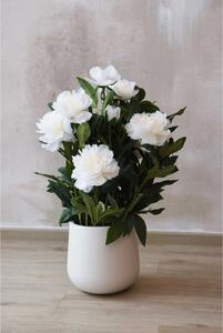 Eshop-kvetinace.sk Umelá pivonka v krémovom kvetináči PEONY, výška 70 cm, biela