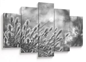 Obraz - Béžová soft grass N⁰1 (150x105 cm)