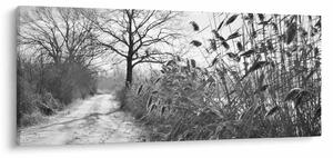 Obraz - Pole v zime (120x50 cm)