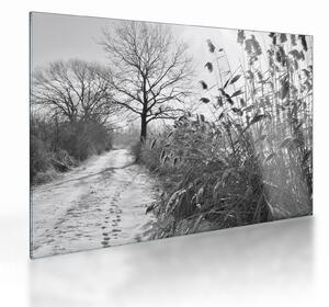Sklenený obraz - Pole v zime (70x50 cm)