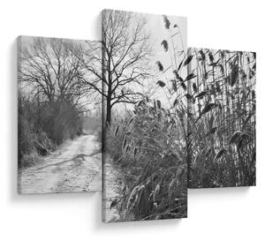 Obraz - Pole v zime (90x60 cm)