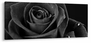 Obraz - Červená ruža (120x50 cm)