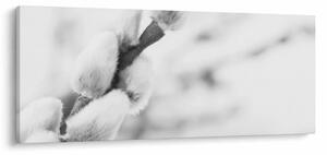 Obraz - Začiatok jari (120x50 cm)