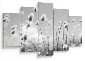 Obraz - Boho bunny tail grass (150x105 cm)