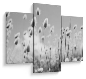 Obraz - Boho bunny tail grass (90x60 cm)