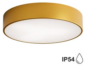 Brilagi - Kúpeľňové stropné svietidlo CLARE 2xE27/24W/230V pr. 40 cm IP54 zlatá