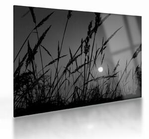 Sklenený obraz - Lúka so západom slnka (70x50 cm)