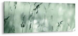 Obraz - Zelená lúka (120x50 cm)