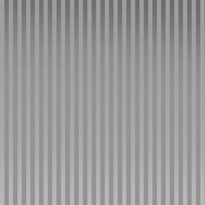 Sprchový záves polyester 180 x 200 sivý