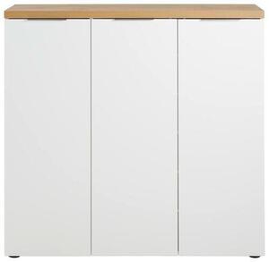 SKRINKA NA TOPÁNKY, farba duba, biela s vysokým leskom, 120/115/34 cm Xora - Online Only drobný nábytok, Online Only