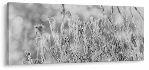 Obraz - Chladná zima (120x50 cm)