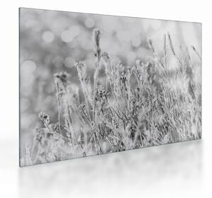 Sklenený obraz - Chladná zima (70x50 cm)