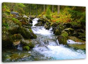 Obraz na plátně vodopád horský les - 100x70 cm