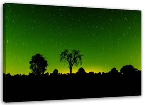 Obraz na plátně Aurora Borealis Green Forest - 100x70 cm
