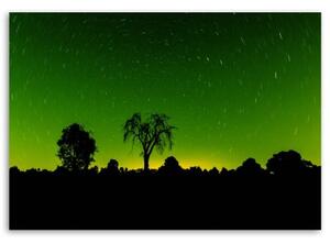 Obraz na plátně Aurora Borealis Green Forest - 60x40 cm