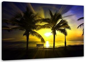 Obraz na plátně Západ slunce v Palmas nad mořem - 100x70 cm