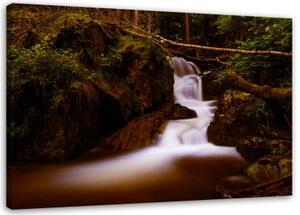 Obraz na plátně Horský potok Forest - 120x80 cm