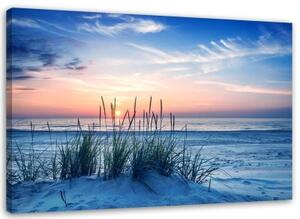 Obraz na plátně pláž tráva duny moře - 120x80 cm