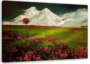 Obraz na plátně Horská krajina Příroda - 100x70 cm