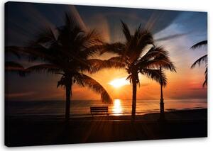 Obraz na plátně Palmy moře západ slunce - 100x70 cm