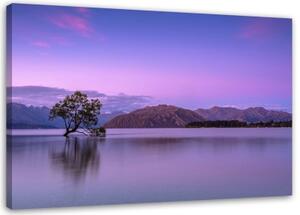Obraz na plátně Tree Lake Purple - 60x40 cm