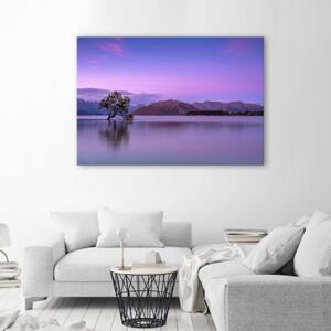 Obraz na plátně Fialový strom na jezeře - 60x40 cm