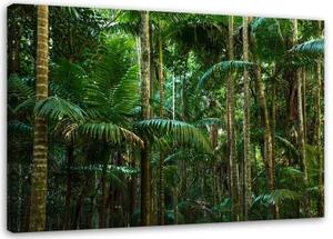 Obraz na plátně Palmy Les Příroda - 100x70 cm