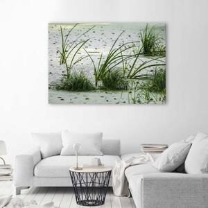Obraz na plátně Plážový písek Tráva Zelená - 60x40 cm