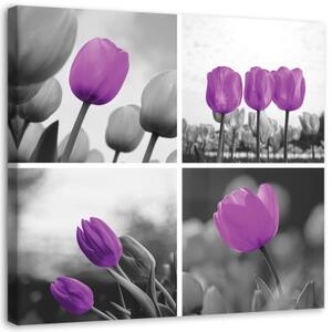 Obraz na plátně Tulipány Fialová sada - 40x40 cm