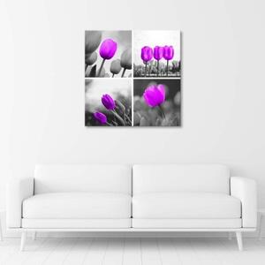 Obraz na plátně Sada fialových tulipánů - 40x40 cm