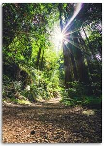 Obraz na plátně Džungle Les Příroda Zelená - 40x60 cm