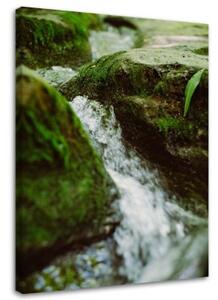 Obraz na plátně Příroda říčních kamenů - 40x60 cm