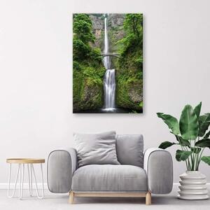 Obraz na plátně Vodopád Most Les Příroda - 40x60 cm