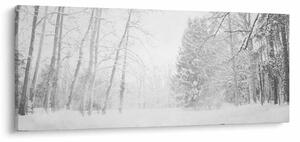Obraz - Drevené mólo v zime (120x50 cm)