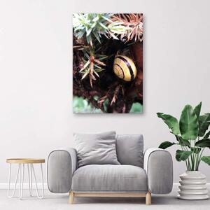 Obraz na plátně Příroda šnečích listů - 40x60 cm